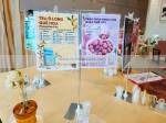 Giá treo poster điều chỉnh chiều cao 40–75cm: Có đáng mua?